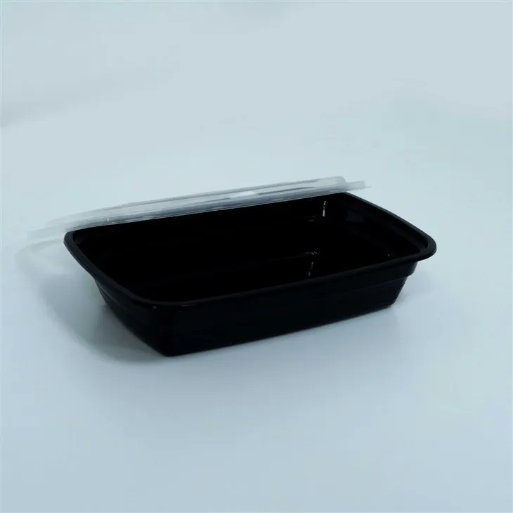 Convenient Disposable Lunch Boxes - Perfect for Outdoor Dining (23) Convenient Disposable Lunch Boxes - Perfect for Outdoor Dining (23)