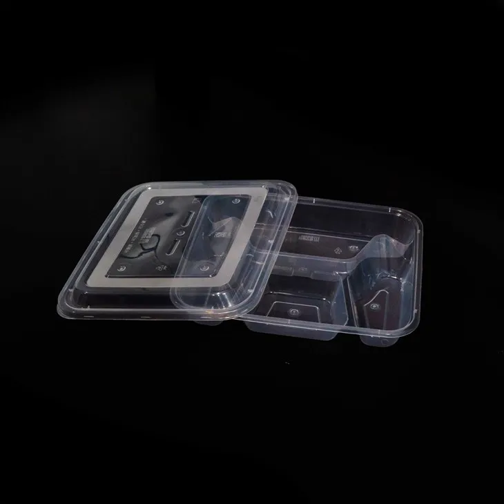 Disposable Divided Plastic Food Boxes - Hygienic and Convenient (6)