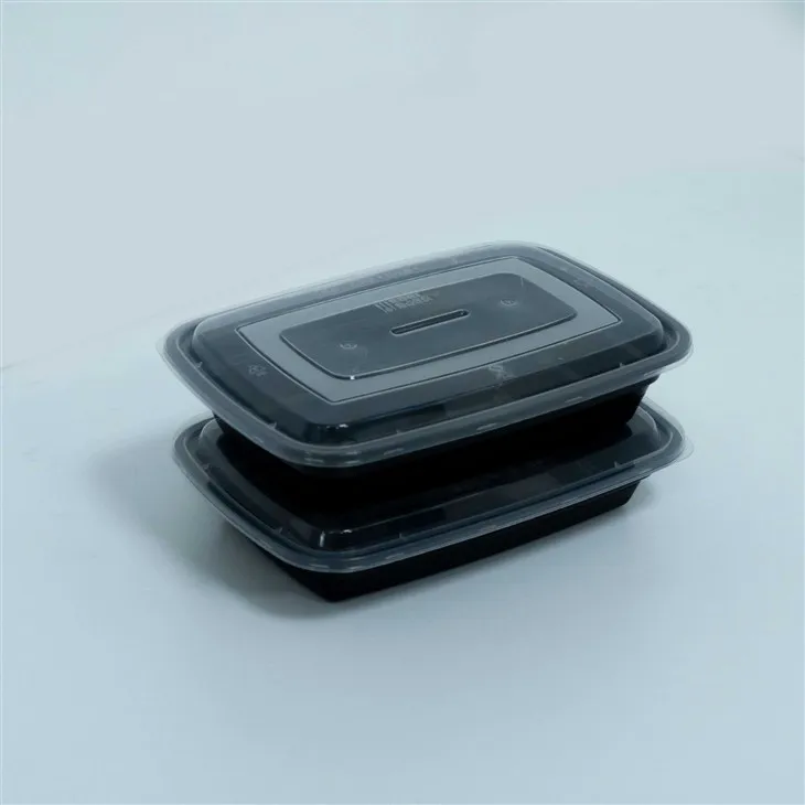Disposable Lunch Boxes for Kids - Perfect for School Lunches (2)