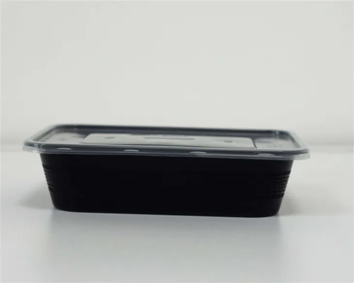 Durable Plastic Boxes - Built to Last for Everyday Use (2)