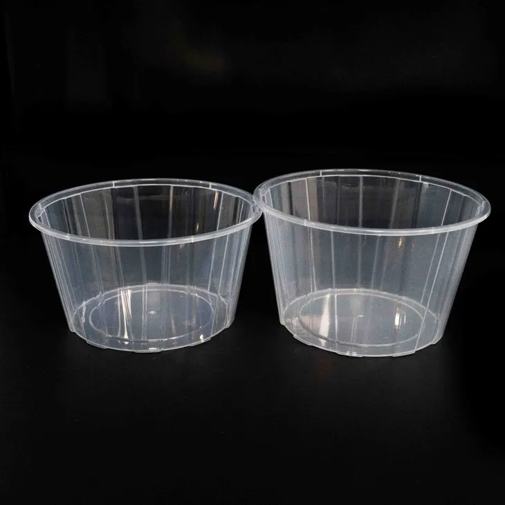 Eco-Friendly Disposable Bowls - Sustainable and Practical (2)
