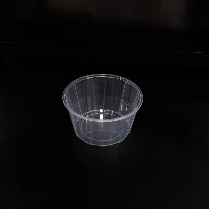 Eco-Friendly Plastic Bowls - Sustainable Food Packaging (12)