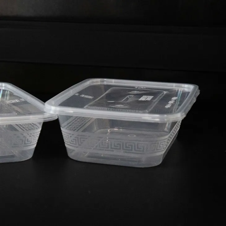 Elegant Plastic Boxes for Food - Perfect for Special Occasions (4)