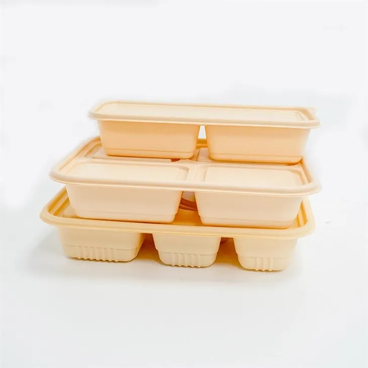 Food-Safe Biodegradable Lunch Boxes - Ensure Hygiene (4)