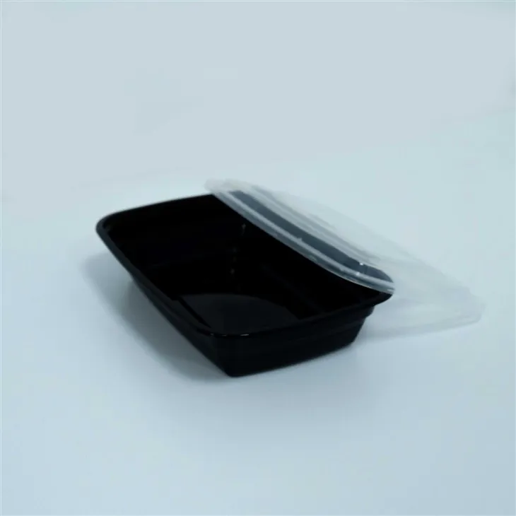 Lunch Boxes with Lids for Kids - Perfect for School and Daycare (3)