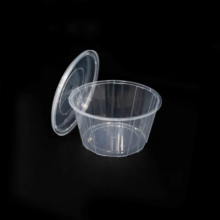 Portable Plastic Bowls - Perfect for Outdoor Events (1)